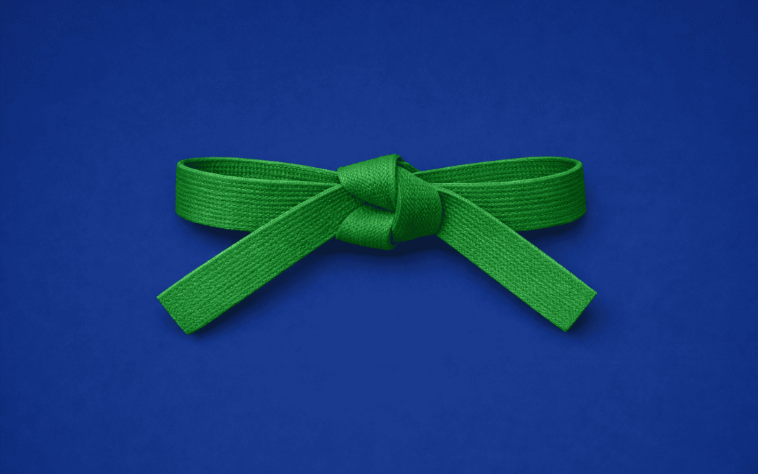 Green Belt Lean Six Sigma : rôle, compétences et parcours de formation